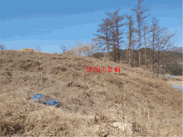 경상남도 합천군 묘산면 관기리 산85-3 외 7필지 임야 경매 사진 63