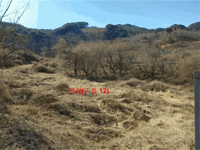 경상남도 합천군 묘산면 관기리 산85-3 외 7필지 임야 경매 사진 64