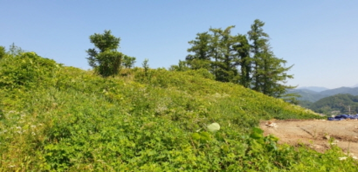 경상남도 합천군 묘산면 관기리 산85-3 외 7필지 임야 경매 사진 8