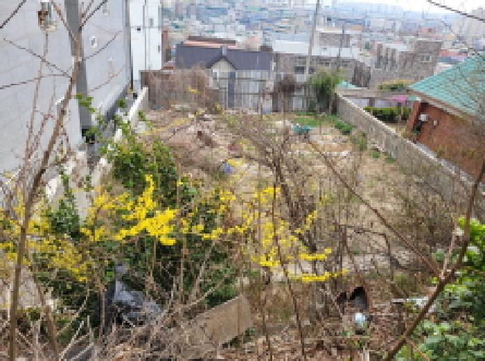 경기도 김포시 사우동 1268 대지 경매 사진 11