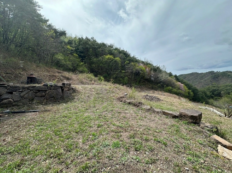 경상북도 영양군 청기면 무진리 357 전 경매 사진 14