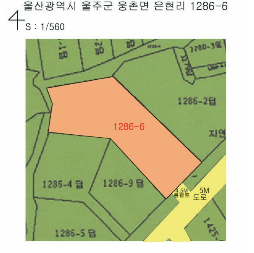 울산광역시 울주군 웅촌면 은현리 1286-6 답 경매 사진 15