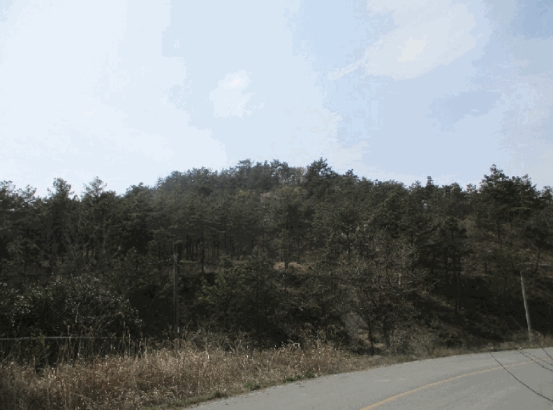 전라남도 무안군 일로읍 의산리 산102 임야 경매 사진 2
