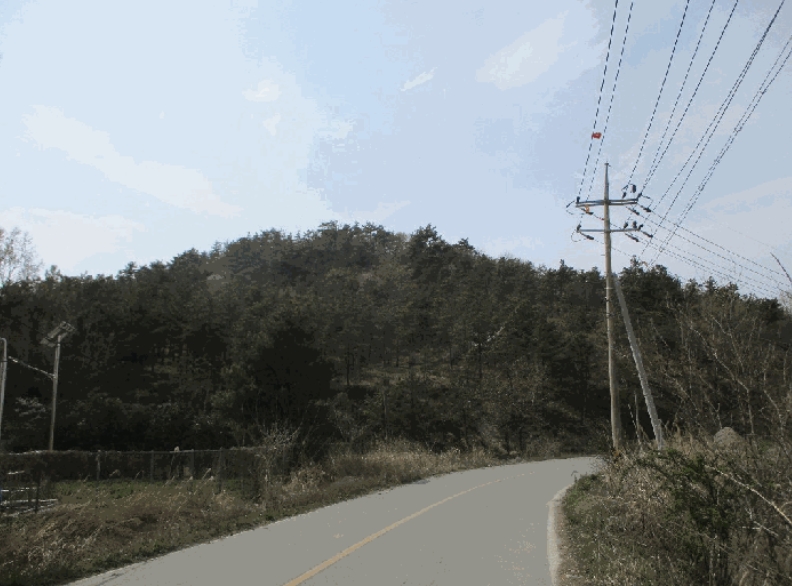 전라남도 무안군 일로읍 의산리 산102 임야 경매 사진 3