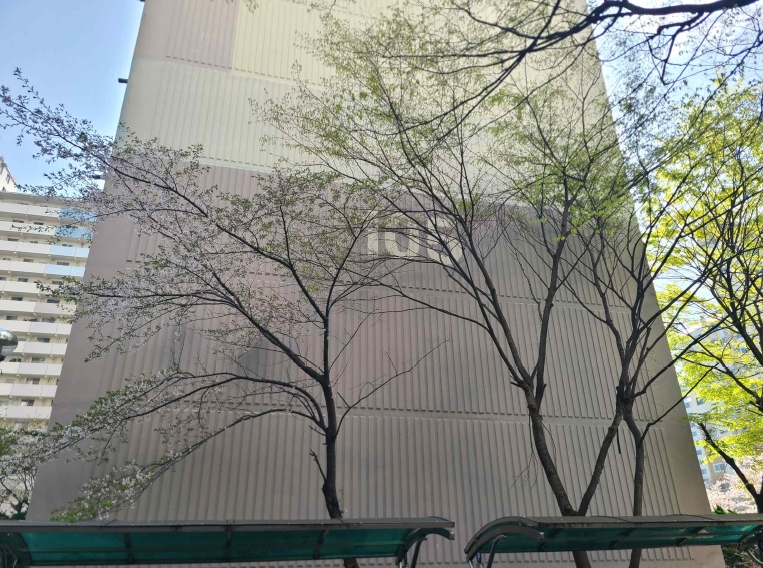 경기도 수원시 권선구 금곡동 66 강남아파트 105동 2층201호 외 8필지 아파트 경매 사진 1