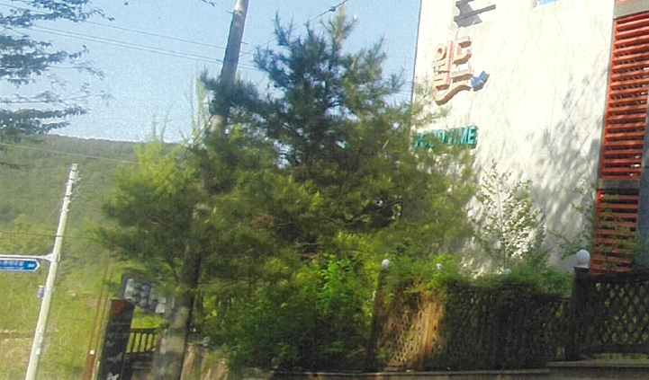 울산광역시 울주군 상북면 등억알프스리 537-1 숙박시설 경매 사진 10