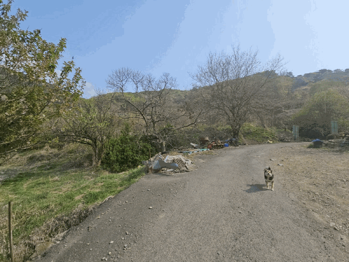 경상남도 김해시 한림면 금곡리 944 전 경매 사진 17