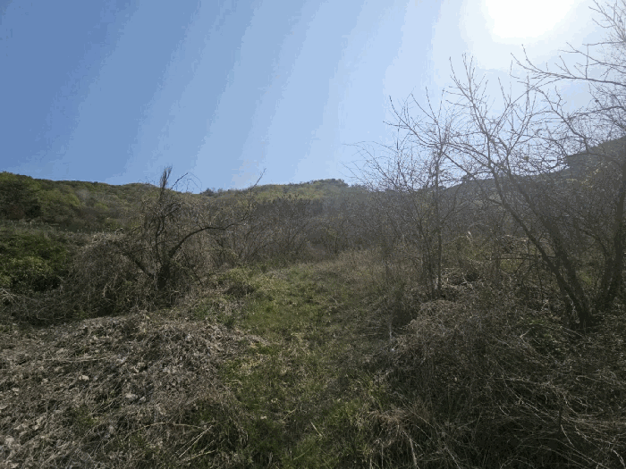 경상남도 김해시 한림면 금곡리 944 전 경매 사진 18