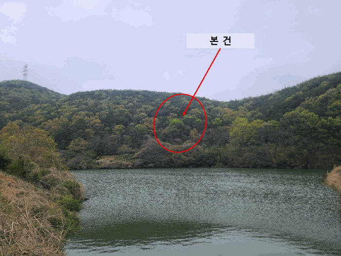 경상남도 창원시 마산합포구 진북면 정현리 산167 임야 경매 사진 11