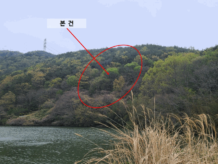경상남도 창원시 마산합포구 진북면 정현리 산167 임야 경매 사진 12