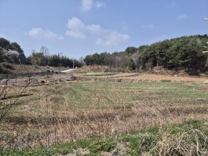 전라남도 담양군 대덕면 비차리 441 외 2필지 공장 경매 사진 13