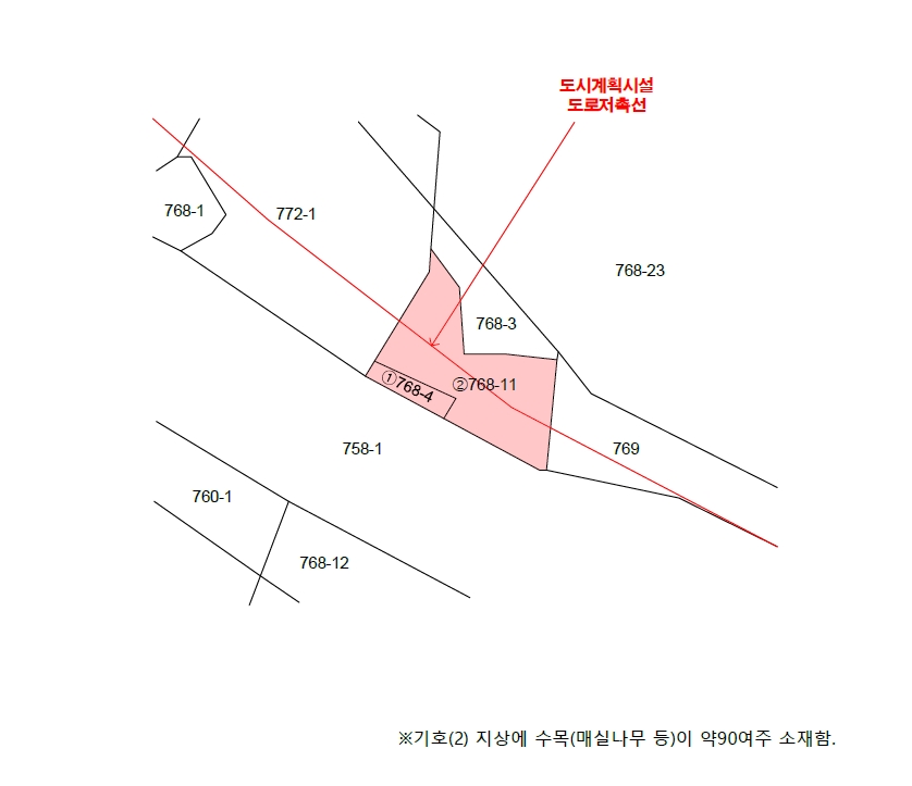 전라남도 광양시 황금동 768-11 임야 경매 사진 9
