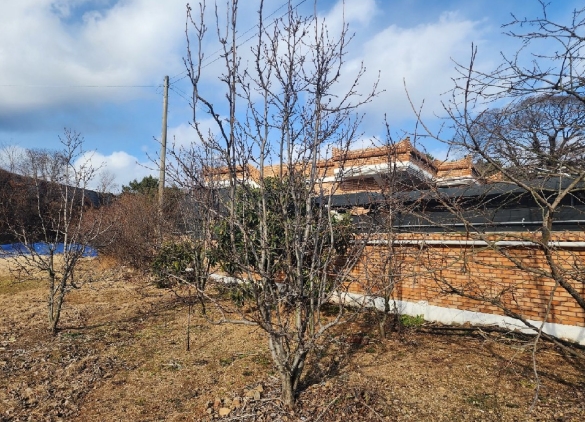 전라남도 광양시 황길동 896-2 답 경매 사진 4