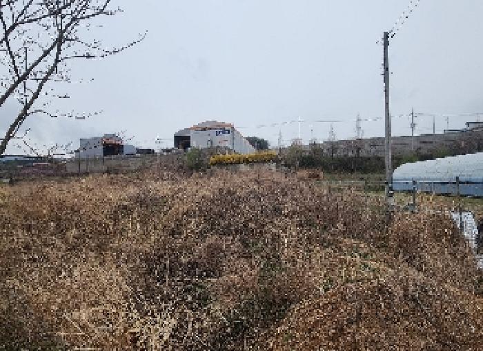 충청북도 옥천군 청산면 인정리 500 외 2필지 답 경매 사진 2