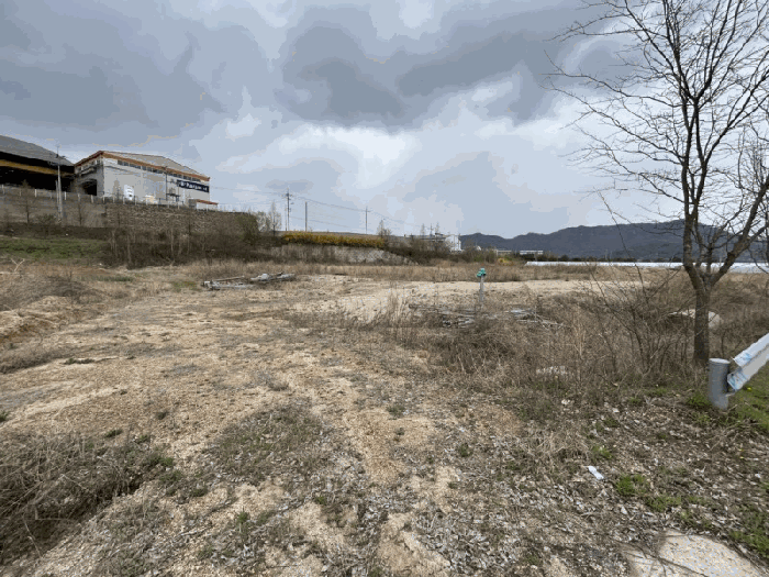 충청북도 옥천군 청산면 인정리 500 외 2필지 답 경매 사진 4