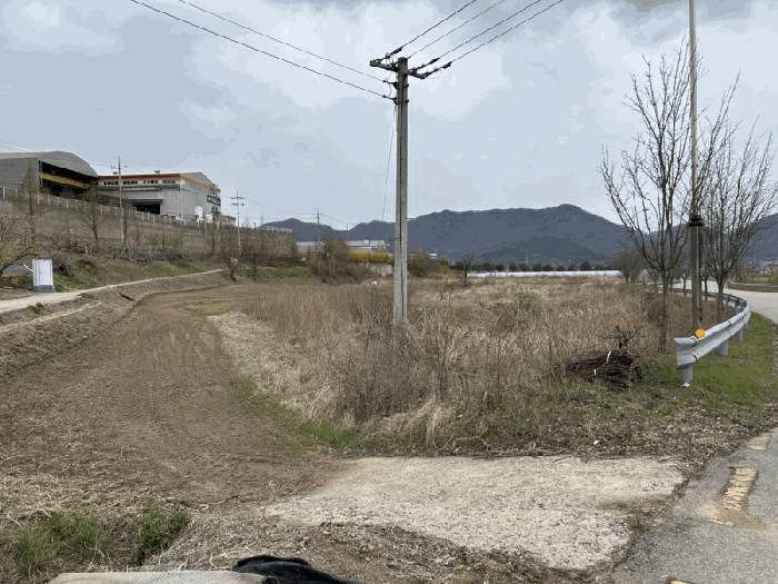 충청북도 옥천군 청산면 인정리 500 외 2필지 답 경매 사진 5