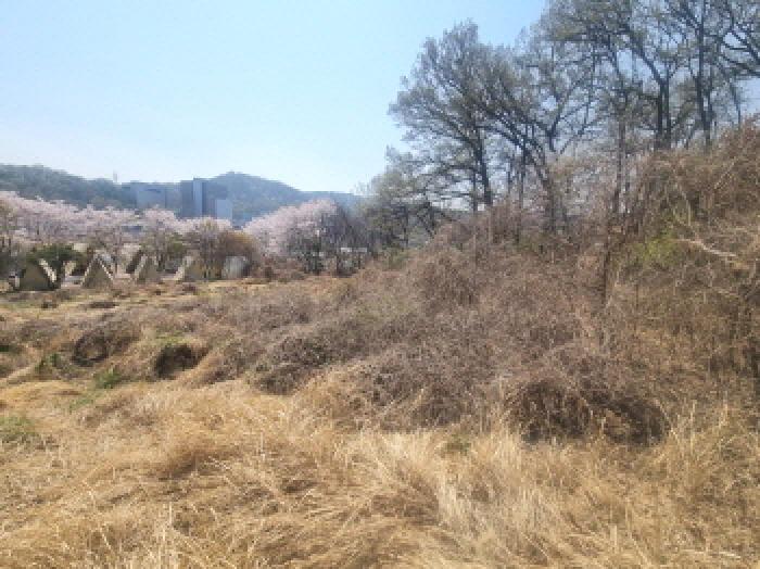 대전광역시 유성구 화암동 141-3 외 2필지 도로 경매 사진 5