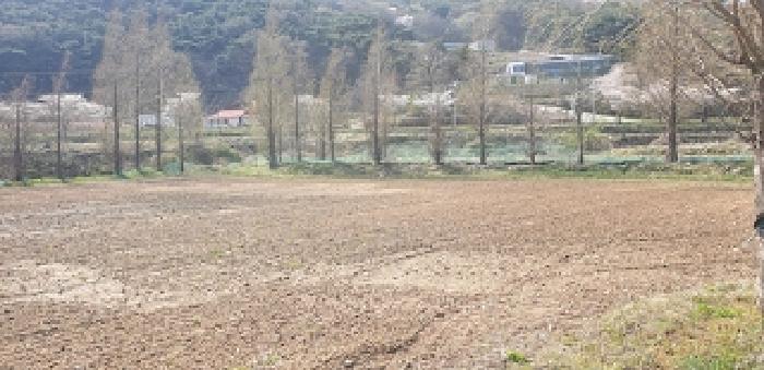 충청남도 예산군 덕산면 광천리 744-3 외 5필지 답 경매 사진 1