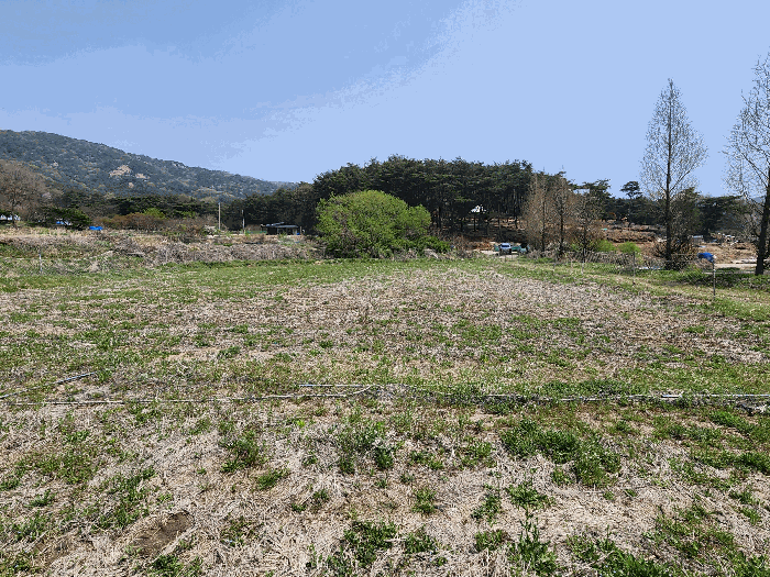 충청남도 예산군 덕산면 광천리 744-3 외 5필지 답 경매 사진 11