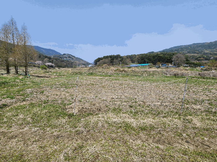 충청남도 예산군 덕산면 광천리 744-3 외 5필지 답 경매 사진 12