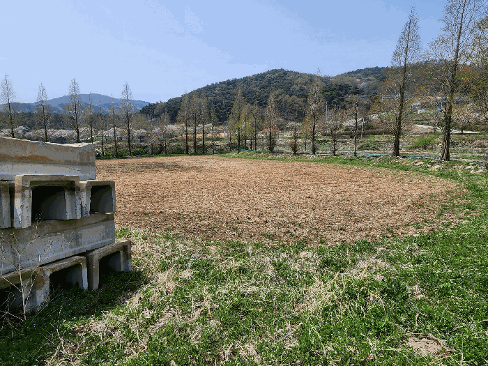 충청남도 예산군 덕산면 광천리 744-3 외 5필지 답 경매 사진 13