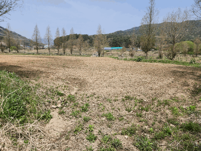 충청남도 예산군 덕산면 광천리 744-3 외 5필지 답 경매 사진 14