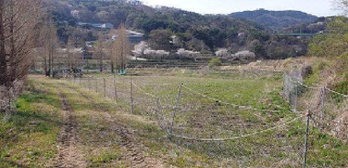 충청남도 예산군 덕산면 광천리 744-3 외 5필지 답 경매 사진 3