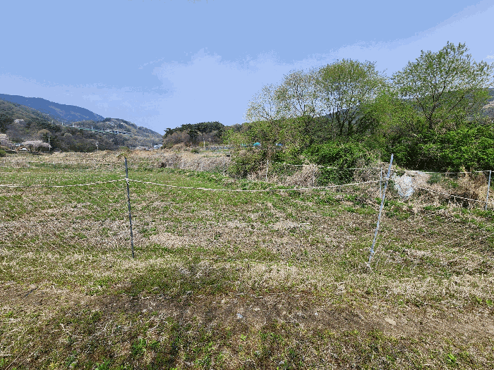 충청남도 예산군 덕산면 광천리 744-3 외 5필지 답 경매 사진 6