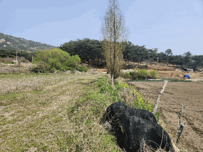 충청남도 예산군 덕산면 광천리 744-3 외 5필지 답 경매 사진 8