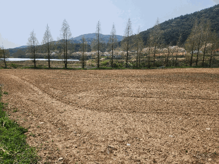 충청남도 예산군 덕산면 광천리 744-3 외 5필지 답 경매 사진 9