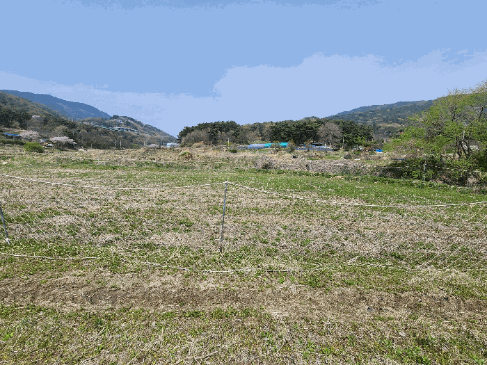 충청남도 예산군 덕산면 광천리 744-3 외 5필지 답 경매 사진 10