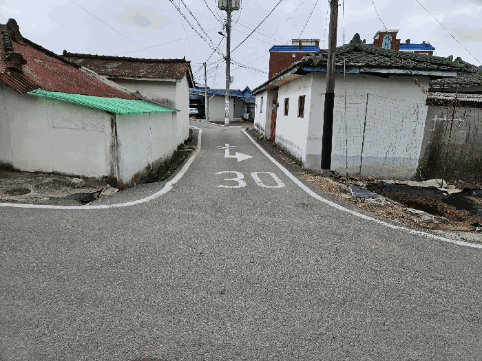 충청남도 천안시 서북구 입장면 상장리 109-2 대지 경매 사진 31