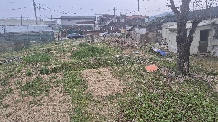 충청남도 천안시 서북구 입장면 상장리 109-2 대지 경매 사진 25