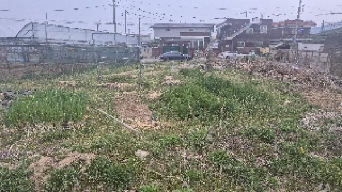충청남도 천안시 서북구 입장면 상장리 109-2 대지 경매 사진 27