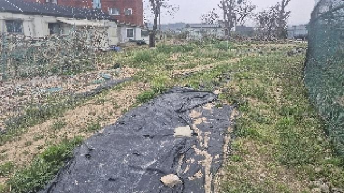 충청남도 천안시 서북구 입장면 상장리 109-2 대지 경매 사진 28