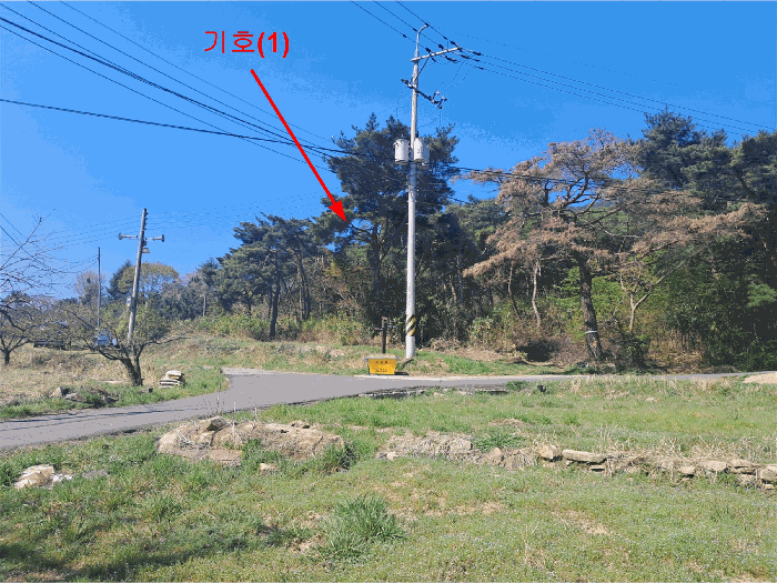 울산광역시 울주군 두서면 차리 산110-1 임야 경매 사진 10