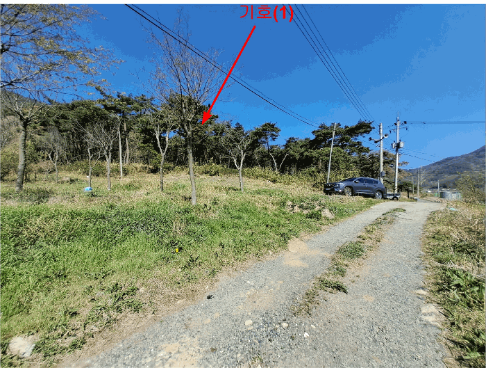 울산광역시 울주군 두서면 차리 산110-1 임야 경매 사진 12