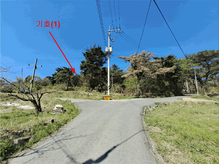 울산광역시 울주군 두서면 차리 산110-1 임야 경매 사진 13
