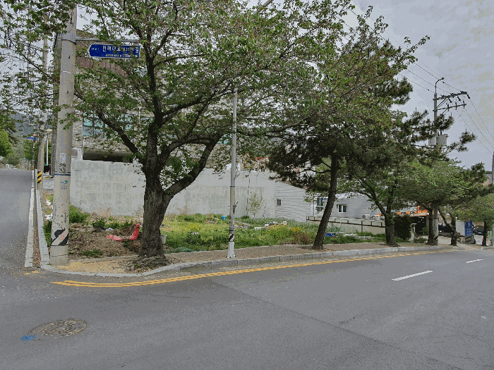 경상남도 창원시 진해구 풍호동 816-1 대지 경매 사진 4