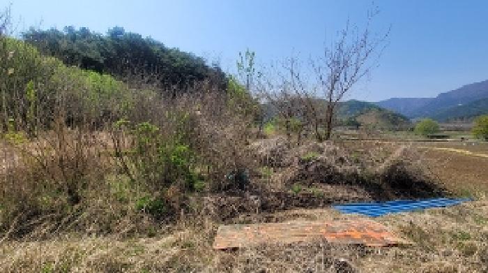경상남도 함안군 함안면 강명리 513 답 경매 사진 17