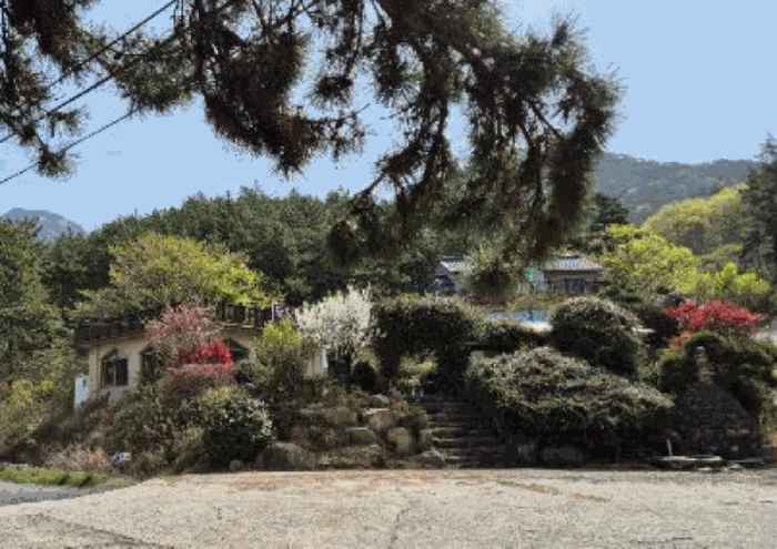 경상남도 사천시 죽림동 100 외 1필지 상가주택 경매 사진 40