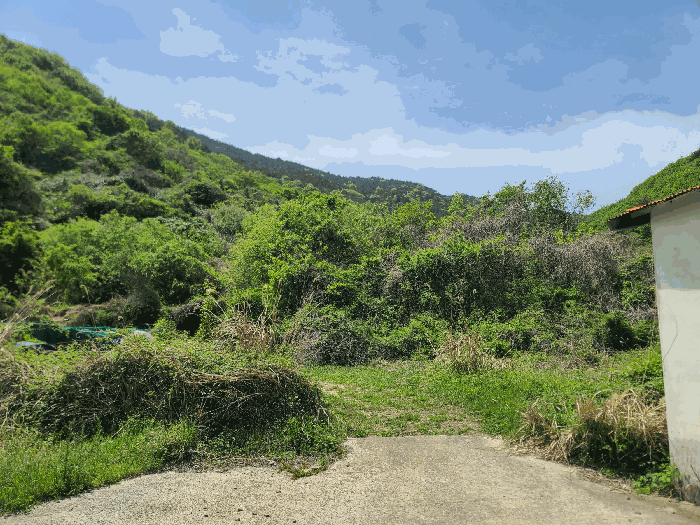 경상남도 고성군 동해면 장기리 554 답 경매 사진 13