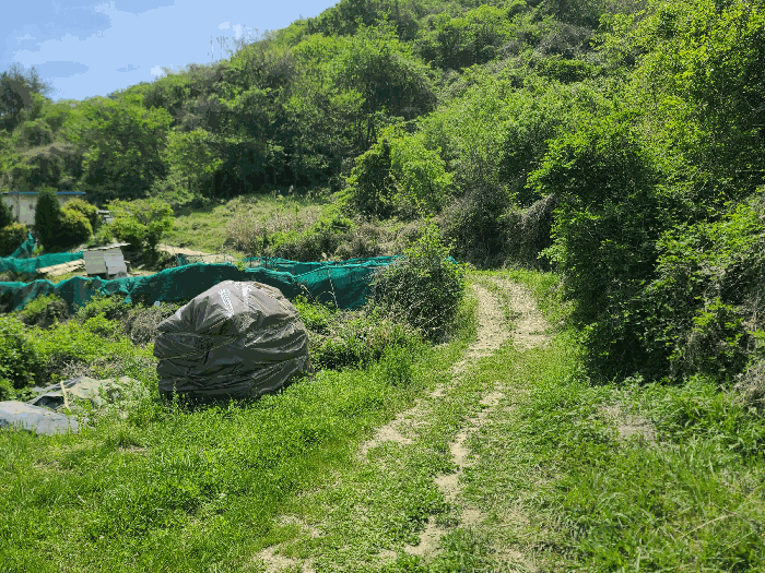 경상남도 고성군 동해면 장기리 554 답 경매 사진 15