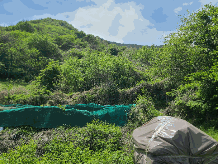 경상남도 고성군 동해면 장기리 554 답 경매 사진 16