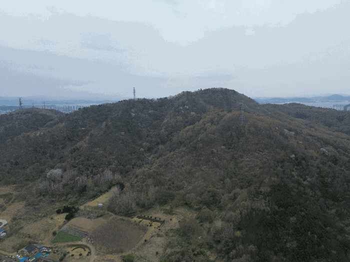 전라남도 무안군 삼향읍 용포리 산43-2 임야 경매 사진 9