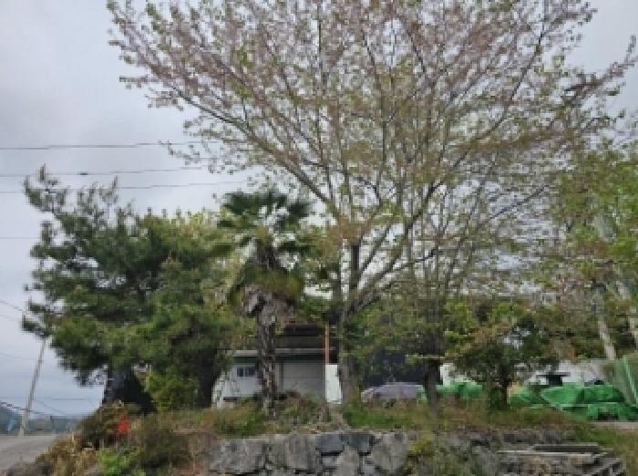 전라남도 순천시 별량면 우산리 102-2 외 2필지 공장 경매 사진 37
