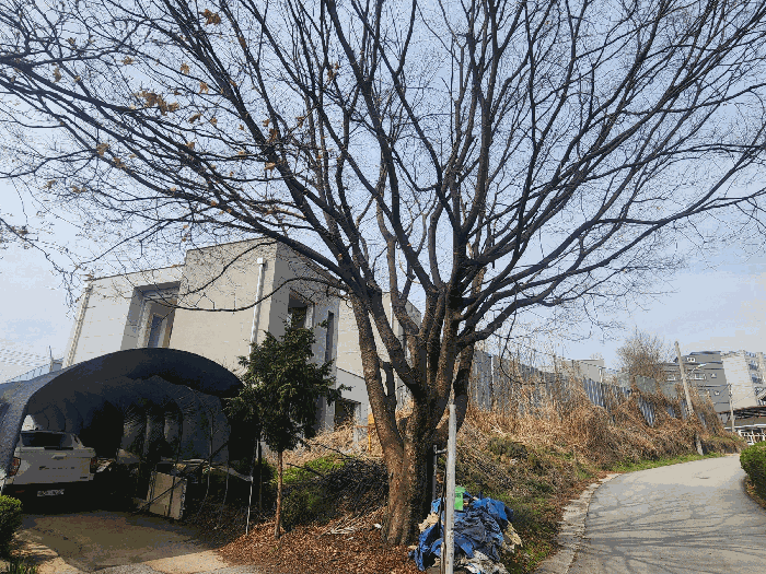 경기도 양주시 백석읍 방성리 183-9 외 7필지 단독주택 경매 사진 21