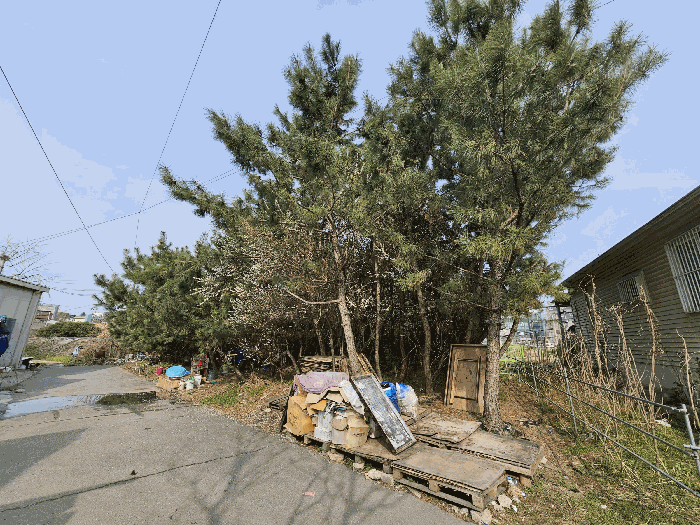 경기도 포천시 가산면 마산리 415 답 경매 사진 12