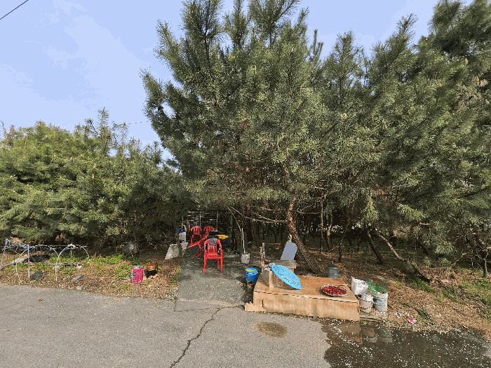 경기도 포천시 가산면 마산리 415 답 경매 사진 13
