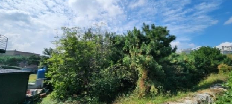 경기도 포천시 가산면 마산리 415 답 경매 사진 6